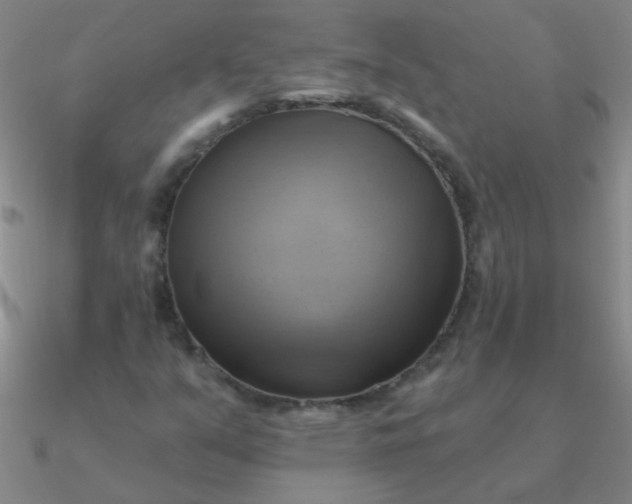 X0000090631351200708071237