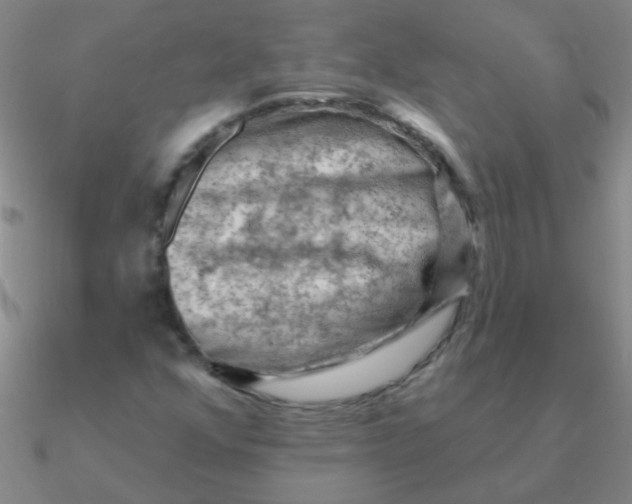 X0000090631352200708071237