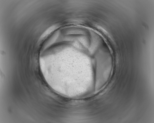 X0000090631354200708071237