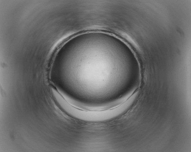 X0000090631356200708071237