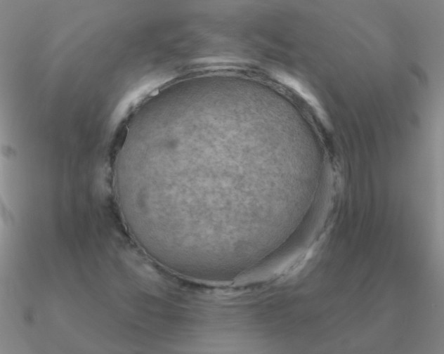 X0000090631357200708071237