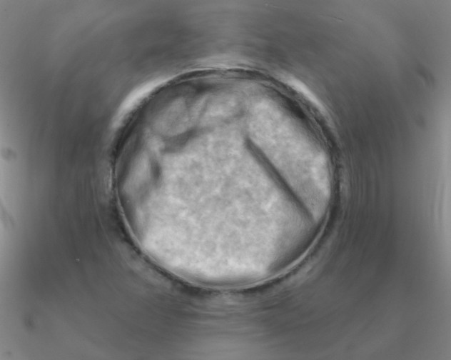 X0000090631358200708071237