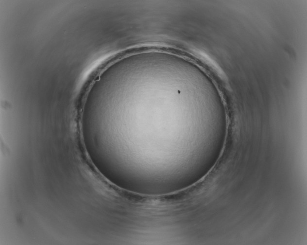 X0000090631360200708071237