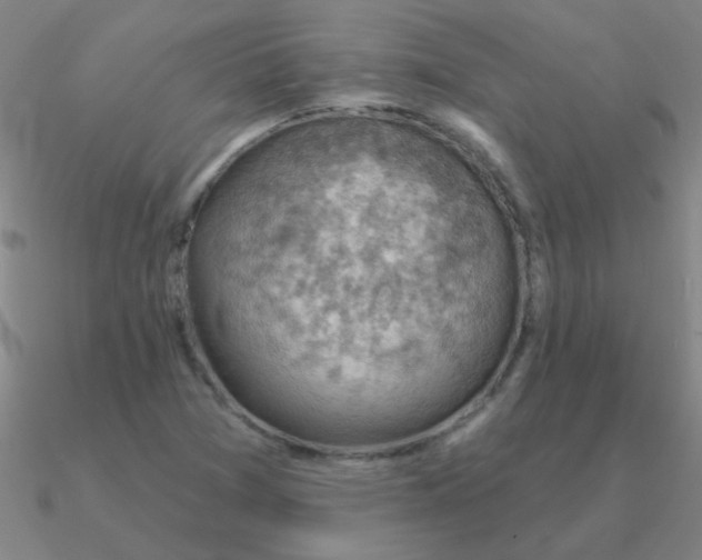 X0000090631361200708071237