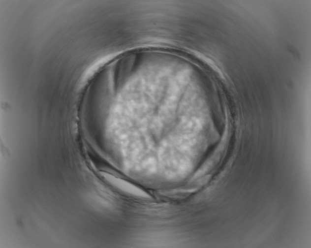 X0000090631363200708071237