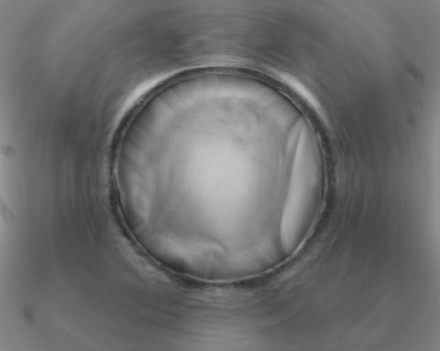 X0000090631364200708071237