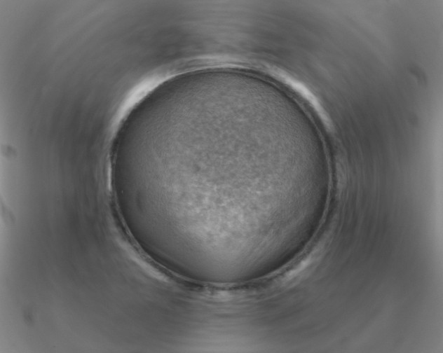 X0000090631365200708071237