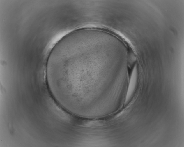 X0000090631367200708071237