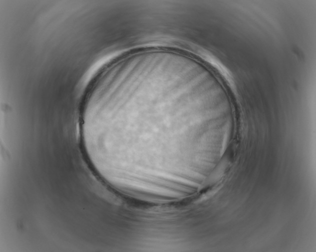 X0000090631368200708071237