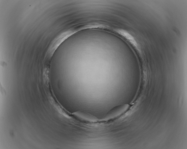 X0000090631369200708071237