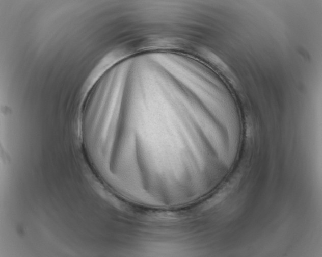 X0000090631370200708071237