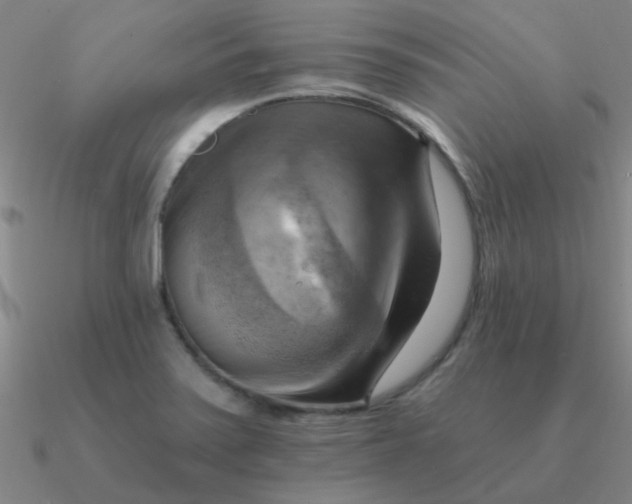 X0000090631371200708071237