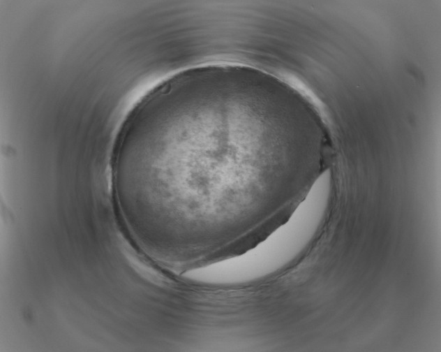 X0000090631372200708071237