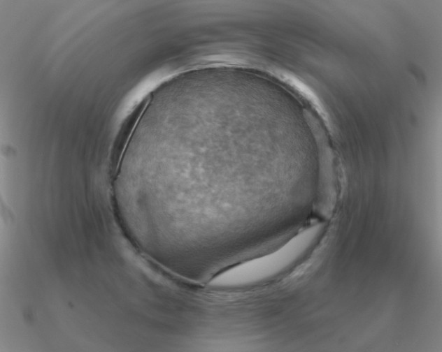 X0000090631373200708071237