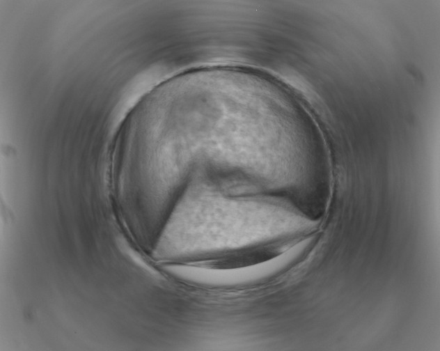 X0000090631374200708071237