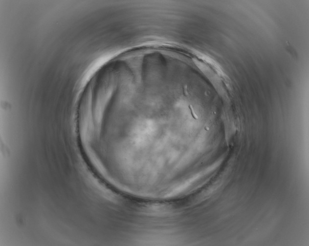 X0000090631375200708071237