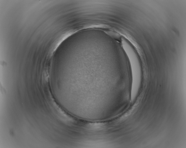 X0000090631377200708071237