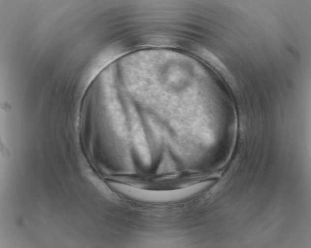 X0000090631378200708071237