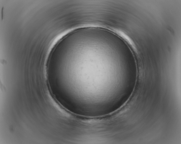 X0000090631380200708071237