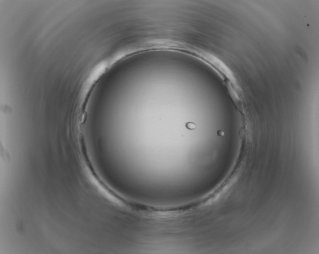 X0000090631381200708071237