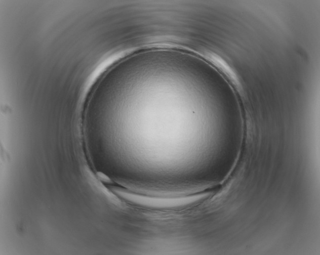 X0000090631384200708071237