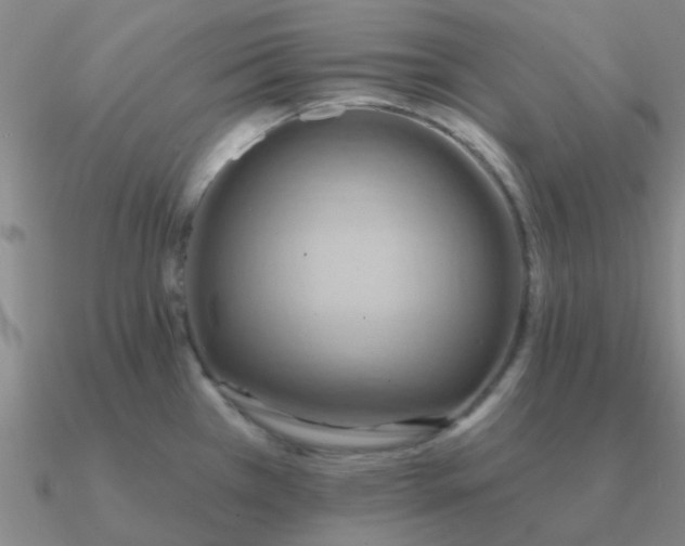 X0000090631385200708071237