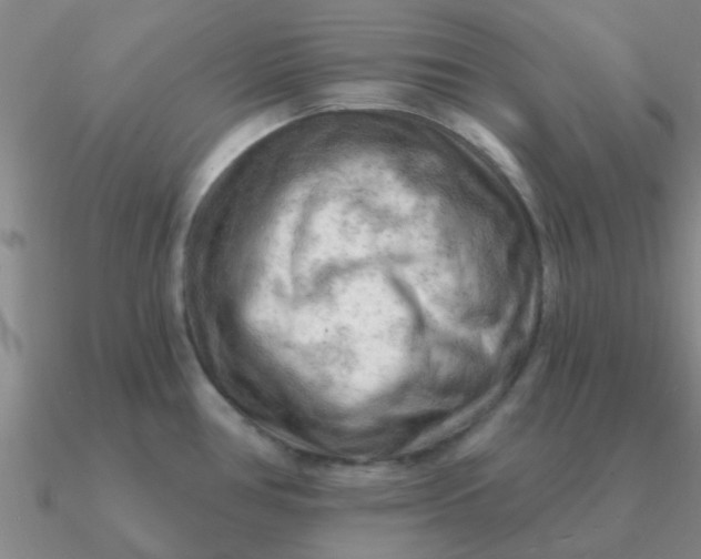 X0000090631386200708071237