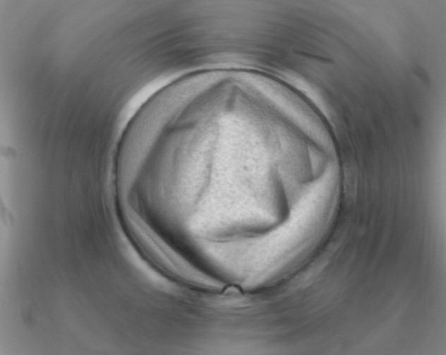 X0000090631387200708071237