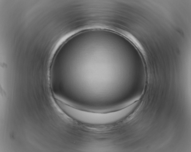 X0000090631388200708071237