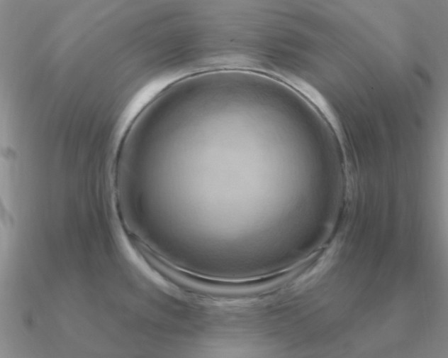 X0000090631389200708071237