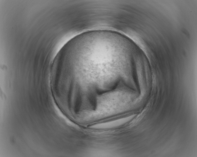 X0000090631390200708071237