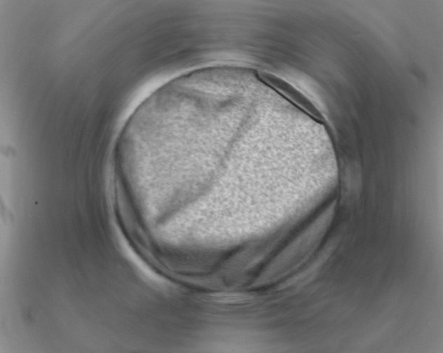 X0000090631391200708071237