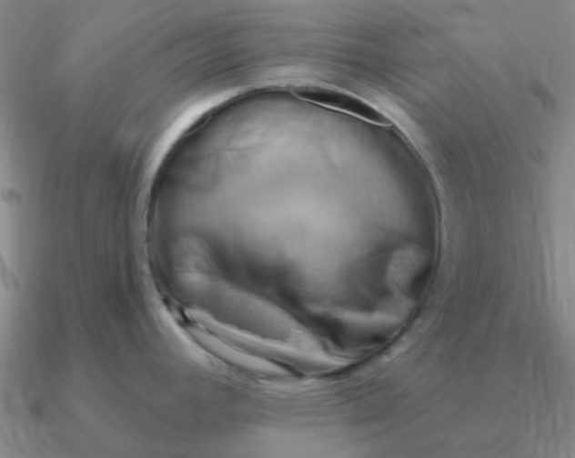 X0000090631392200708071237