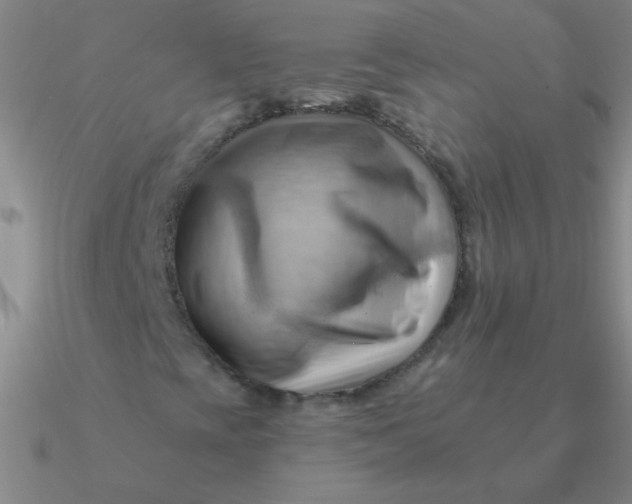 X0000090631393200708071236