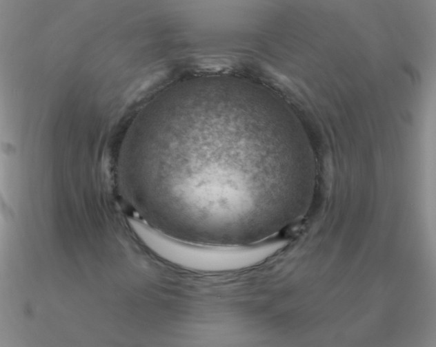 X0000090631394200708071236