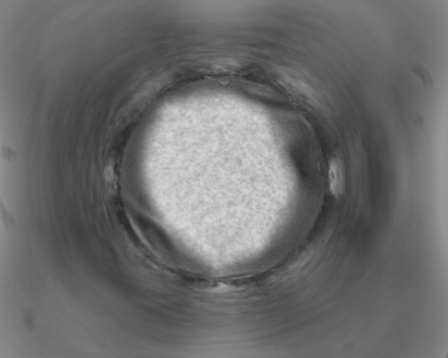 X0000090631395200708071236