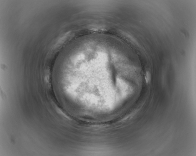 X0000090631396200708071236