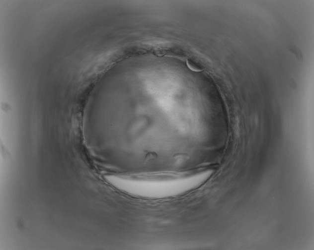 X0000090631397200708071236