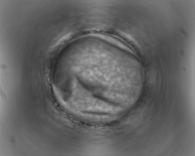 X0000090631399200708071236