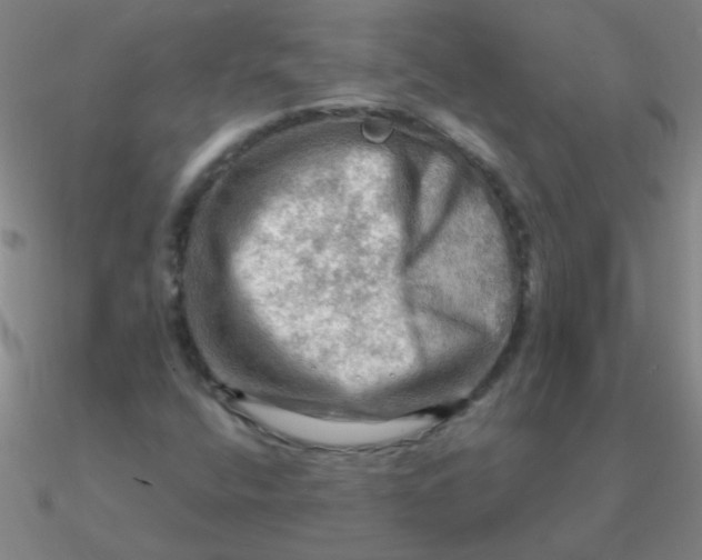 X0000090631400200708071236