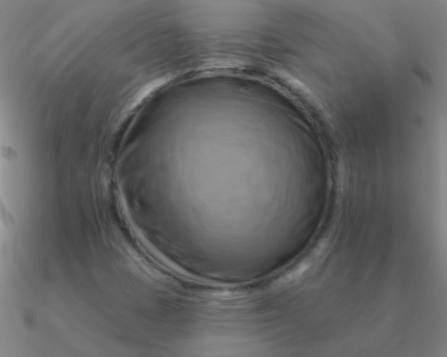 X0000090631401200708071236