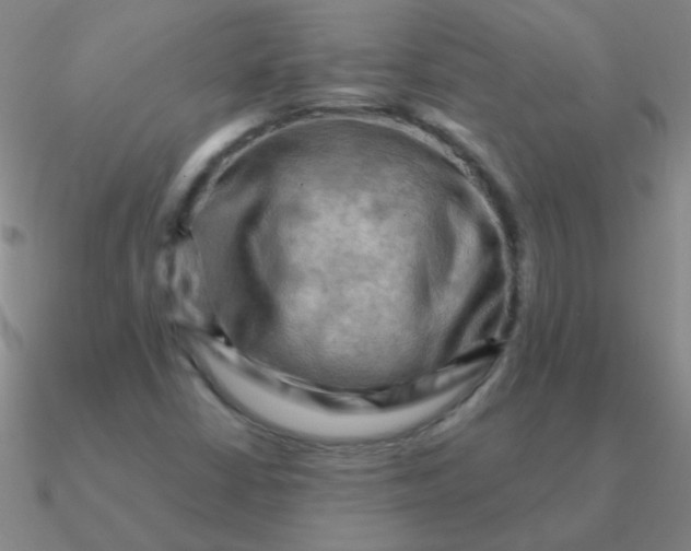 X0000090631402200708071236