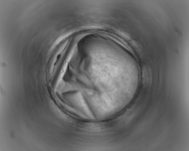 X0000090631404200708071236