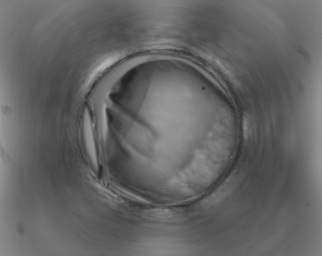 X0000090631405200708071236