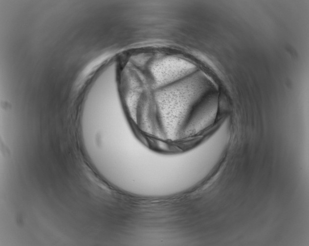 X0000090631406200708071236