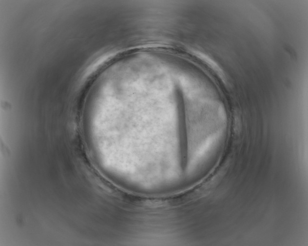 X0000090631407200708071236