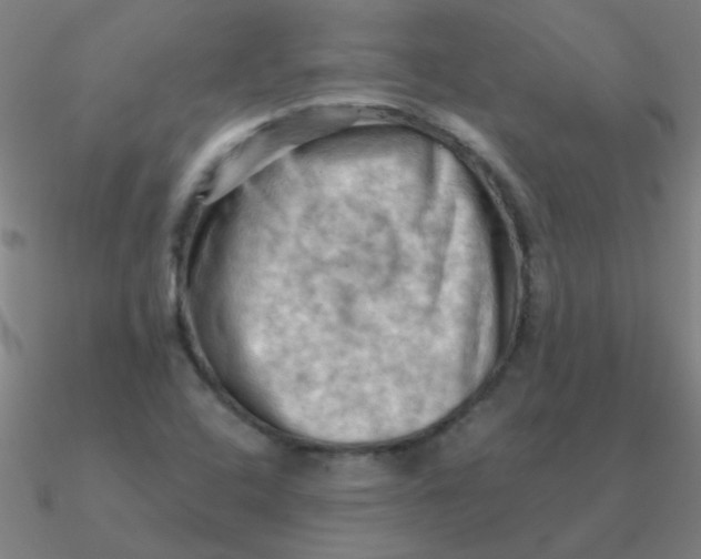 X0000090631408200708071236