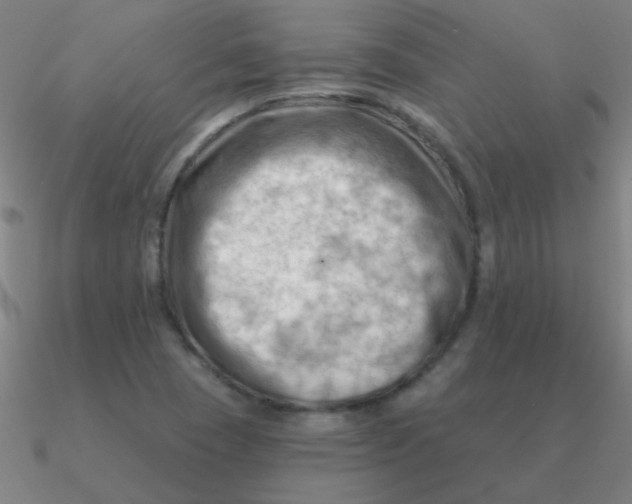 X0000090631409200708071236