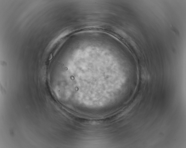 X0000090631411200708071236