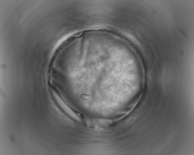 X0000090631412200708071236